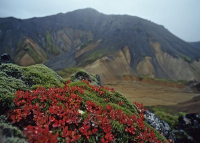 Landmannalaugar - Südliches Hochland