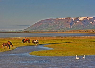 Skagafjörður - Nordwest-Island