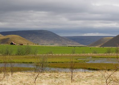 Nordwest-Island - Vatnsnes