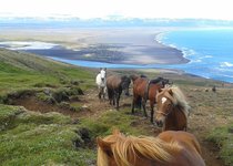 Njarðvík - Ost-Island