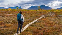 Wandern in Schwedisch Lappland