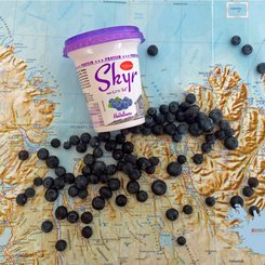 Skyr - Island