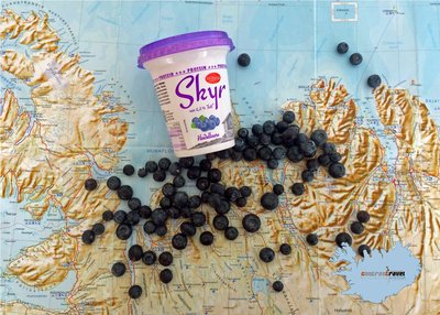 Skyr - Island