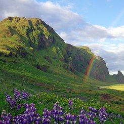 Vík - Süd-Island