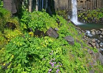 Svartifoss - Südost-Island