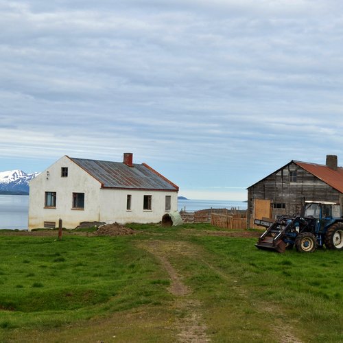 Bauernhof - Nord-Island