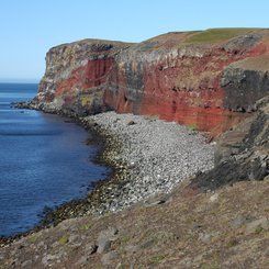 Melrakkasletta - Nord-Island