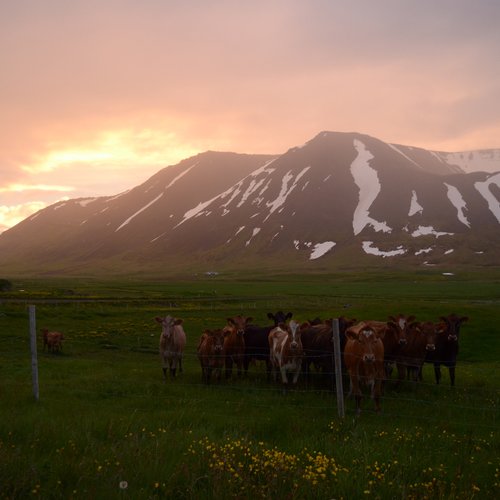 Önundarfjörður - Westfjorde