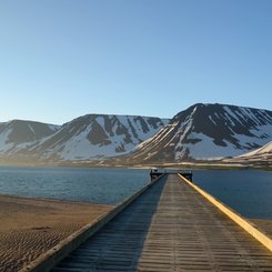 Holt Brücke - Westfjorde