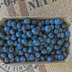 Blaubeeren