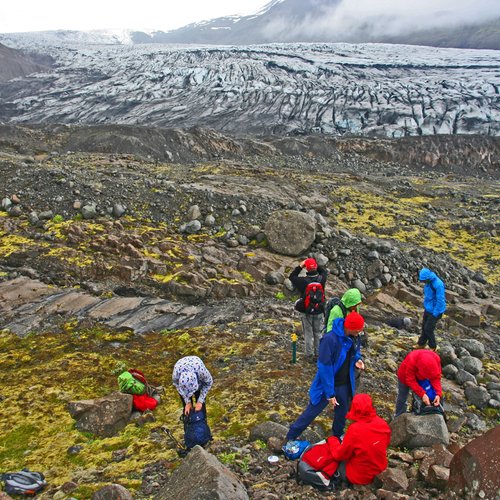 Skálafellsjökull - Südost-Island