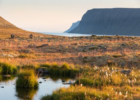 Einsame Fjordweld - Westfjorde