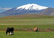 Snæfellsjökull - West-Island