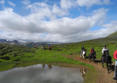 Skagafjörður - Nord-Island