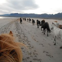 Snæfellsnes