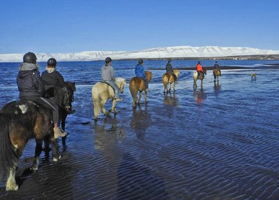 Skagafjörður - Nord-Island