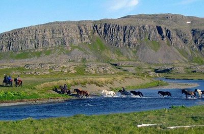 Strandir - Westfjorde