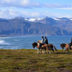 Saltvík - Nord-Island