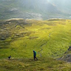 Westfjorde - Island