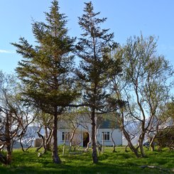 Kikjubol i Bjarnadal - Westfjorde