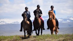 Reiten - Süd-Island Reiten - Süd-Island