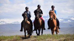 Reiten - Süd-Island Reiten - Süd-Island