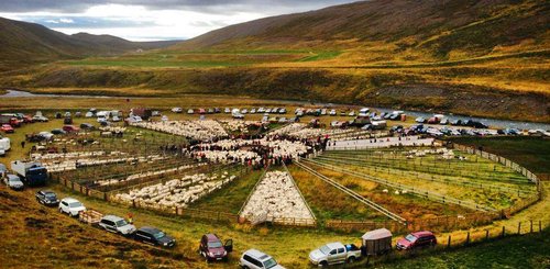 Skagafjörður - Nord-Island