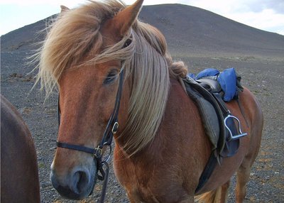 Reykjanes