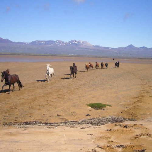 Snæfellsnes
