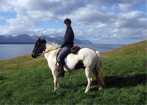 Eyjafjörður - Nord-Island