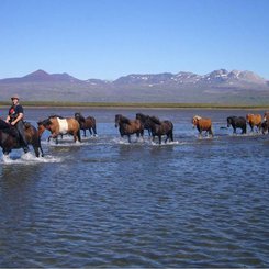 Snæfellsnes
