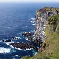 Látrabjarg - Westfjorde