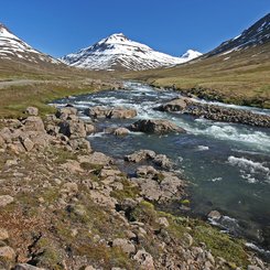 Mjóafjarðarheiði - Ost-Island