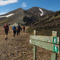 Landmannalaugar - Hochland