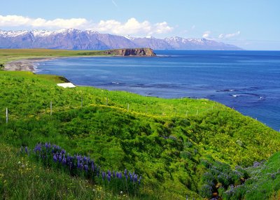 Tjörnes - Nord-Island