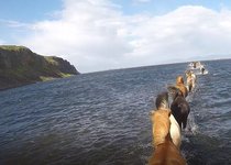 See Hóp - Nordwest-Island