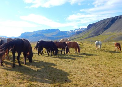 Snæfellsnes - West-Island