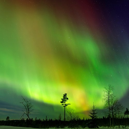 Polarlichter in Schwedisch-Lappland