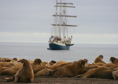 Spitzbergen