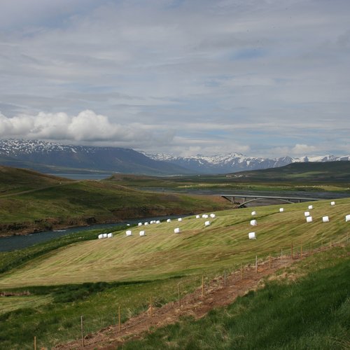 Fnjoskadalur - Nord-Island