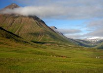 Svarfaðardalur - Nord-Island