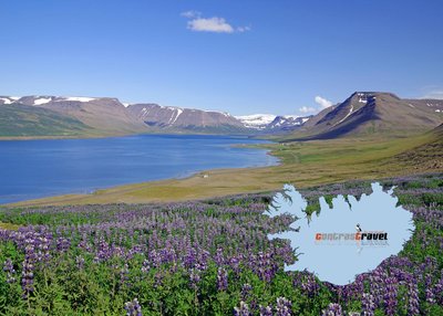Þingeyri - Westfjorde Þingeyri - Westfjorde