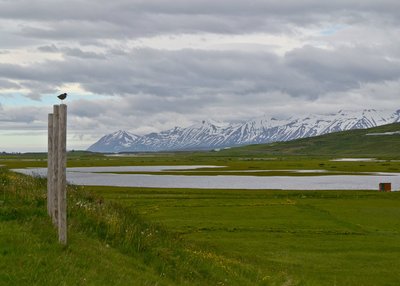 Husabakki - Nord-Island