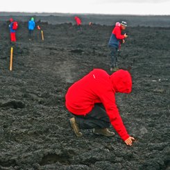 Holuhraun - Zentrales Hochland