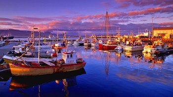 Bereisen Sie Island im Frühling oder Herbst - Fischerboote im Hafen im weichen Abendlicht