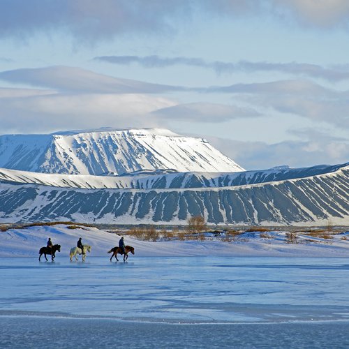 Winterausritt - Mývatn-Region