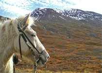 Fjörður - Nord-Island