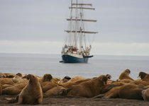 Spitzbergen