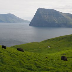 Kunoy - Färöer