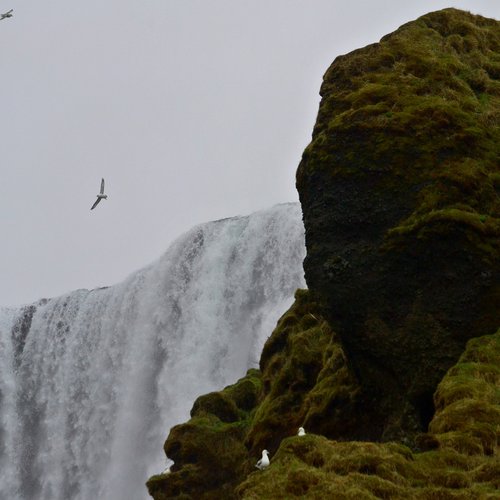 Skogafoss - Süd-Island